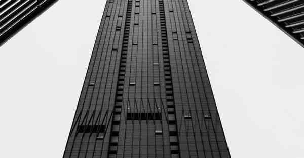 外国语单招大数据的行业文章