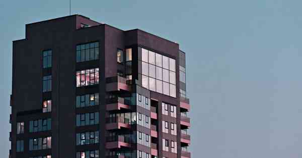 外国语单招大数据的行业文章