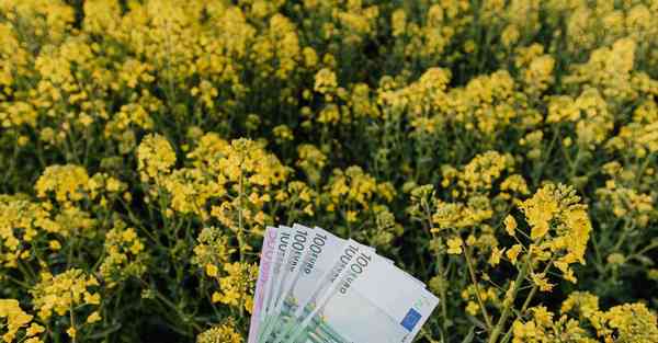 金融大数据的数据特点（金融大数据的数据特点是什么）