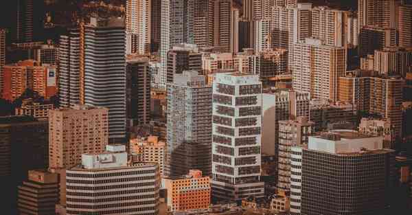 外国语单招大数据的行业文章