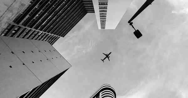 外国语单招大数据的行业文章