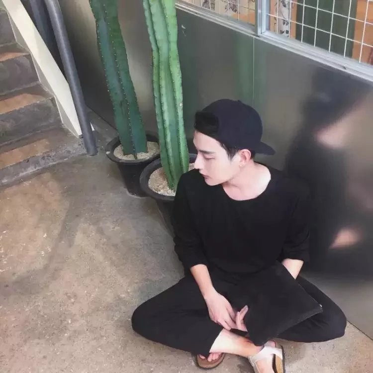 成良骅燕
