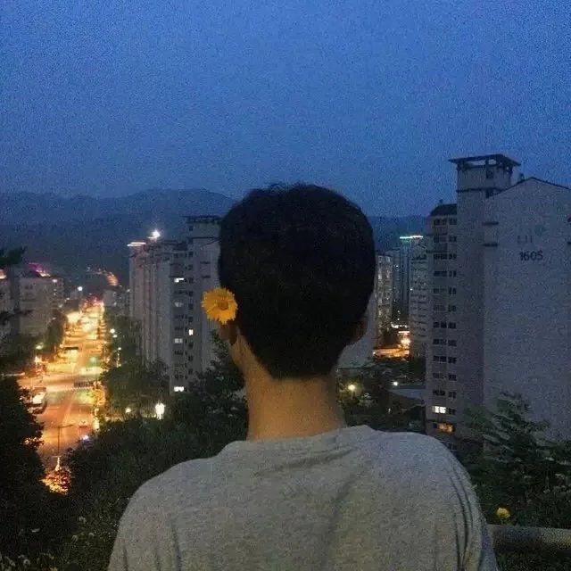 柏秋承岚