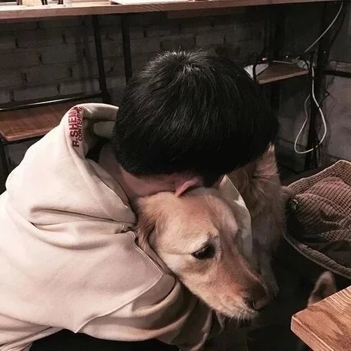 唐伦胜青