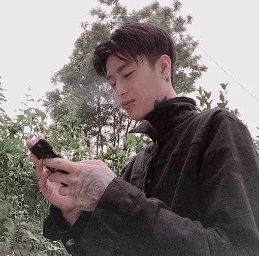 董晓翠康