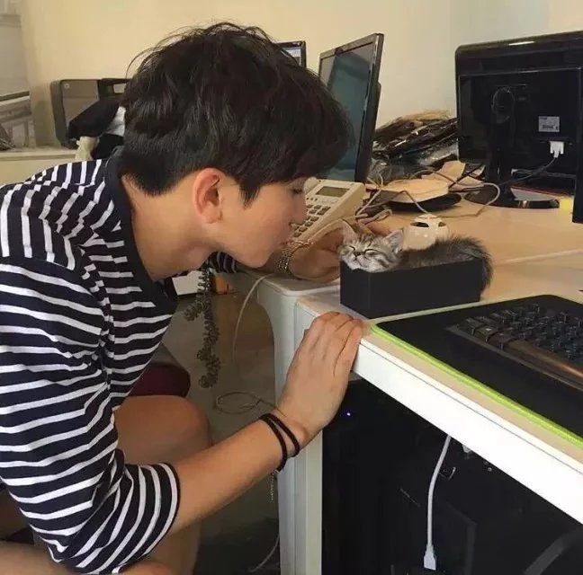 窦茗怡曼