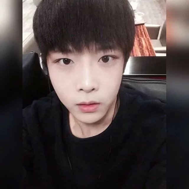 舒会勇永